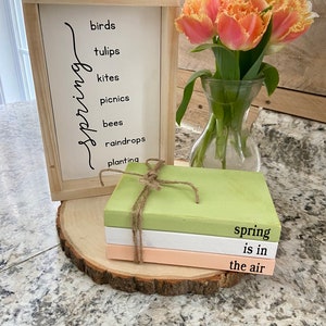 May include: A wooden sign with the word "spring" written vertically in cursive and a list of spring-related words below it.  Three stacked wooden blocks with the text "spring is in the air" on them.