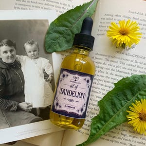 May include: A clear glass bottle of dandelion oil with a black dropper, on an open book with a vintage photograph. The label reads "1812 Apothecary Oil of Dandelion 2 ounces". Yellow flowers and green leaves surround the bottle.