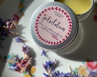 Victorian Herbal Skin Salve | Petrolatum-Free Healing Balm | Rosehip & Vitamin E | Vintage Apothecary Remedy | Multi-Use Moisture Balm