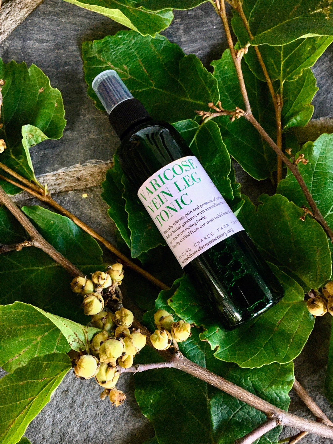 Varicose Vein Leg Tonic, Wild Foraged Witch Hazel, Vegan Friendly