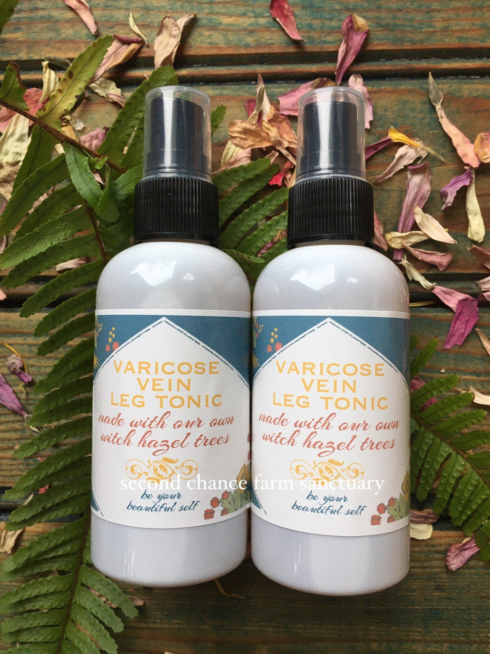 Varicose vein leg tonic made with solar infused horse Etsy