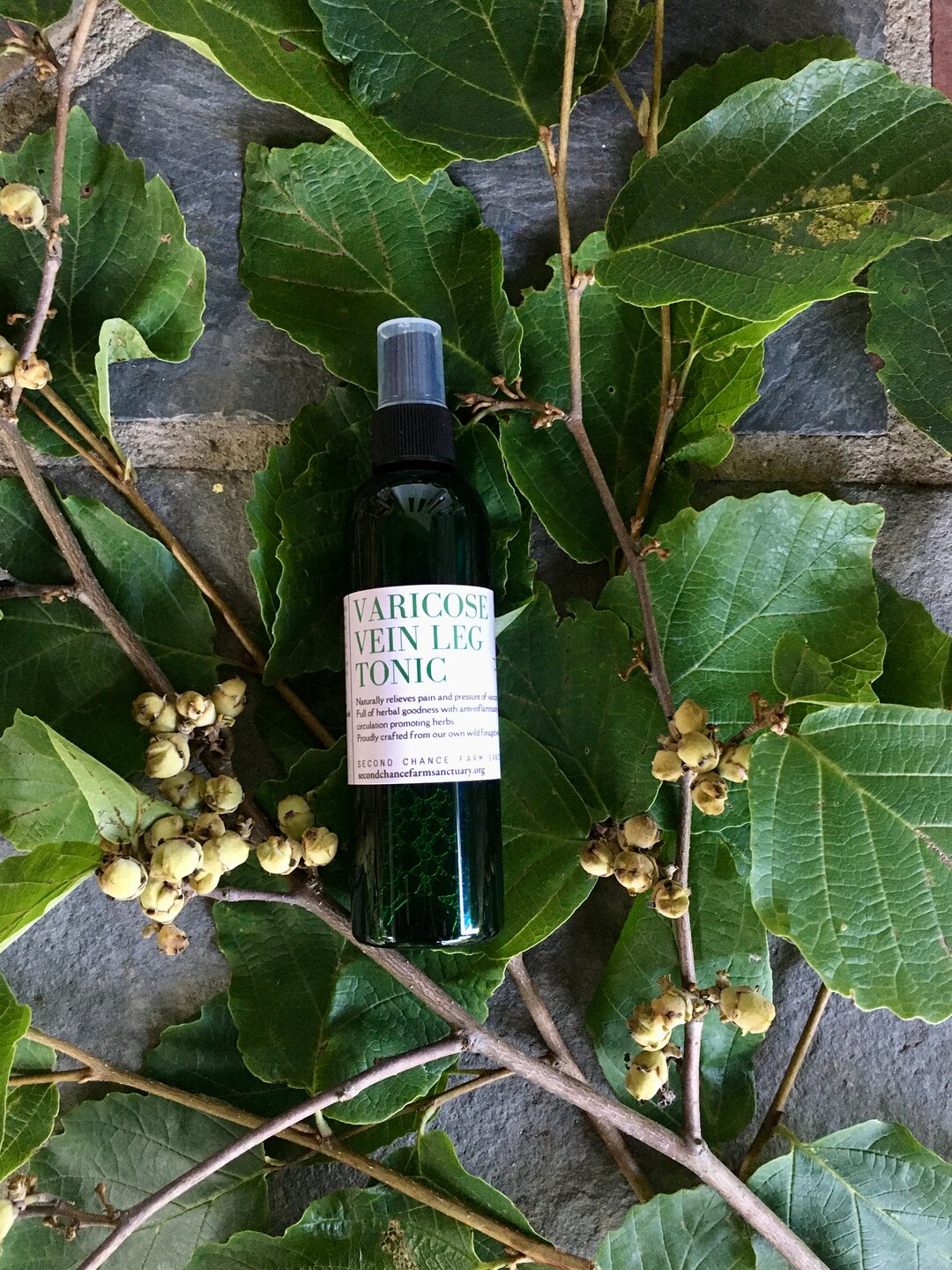 Varicose Vein Leg Tonic Wild Foraged Witch Hazel Vegan Etsy Australia