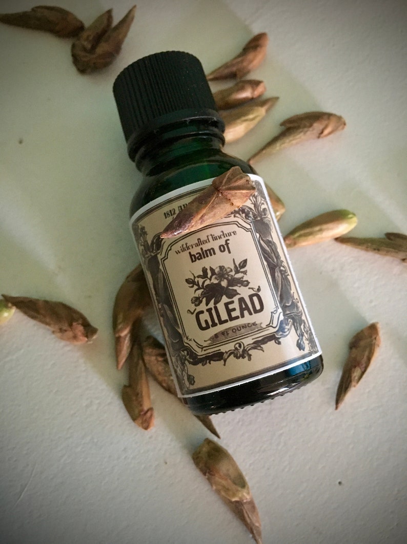 May include: A green glass bottle with a black cap, labeled "balm of GILEAD" in a vintage style. The bottle contains 1 fl oz of liquid. Scattered around the bottle are several brown seed pods. The label has a floral design and the words "wildcrafted tincture".