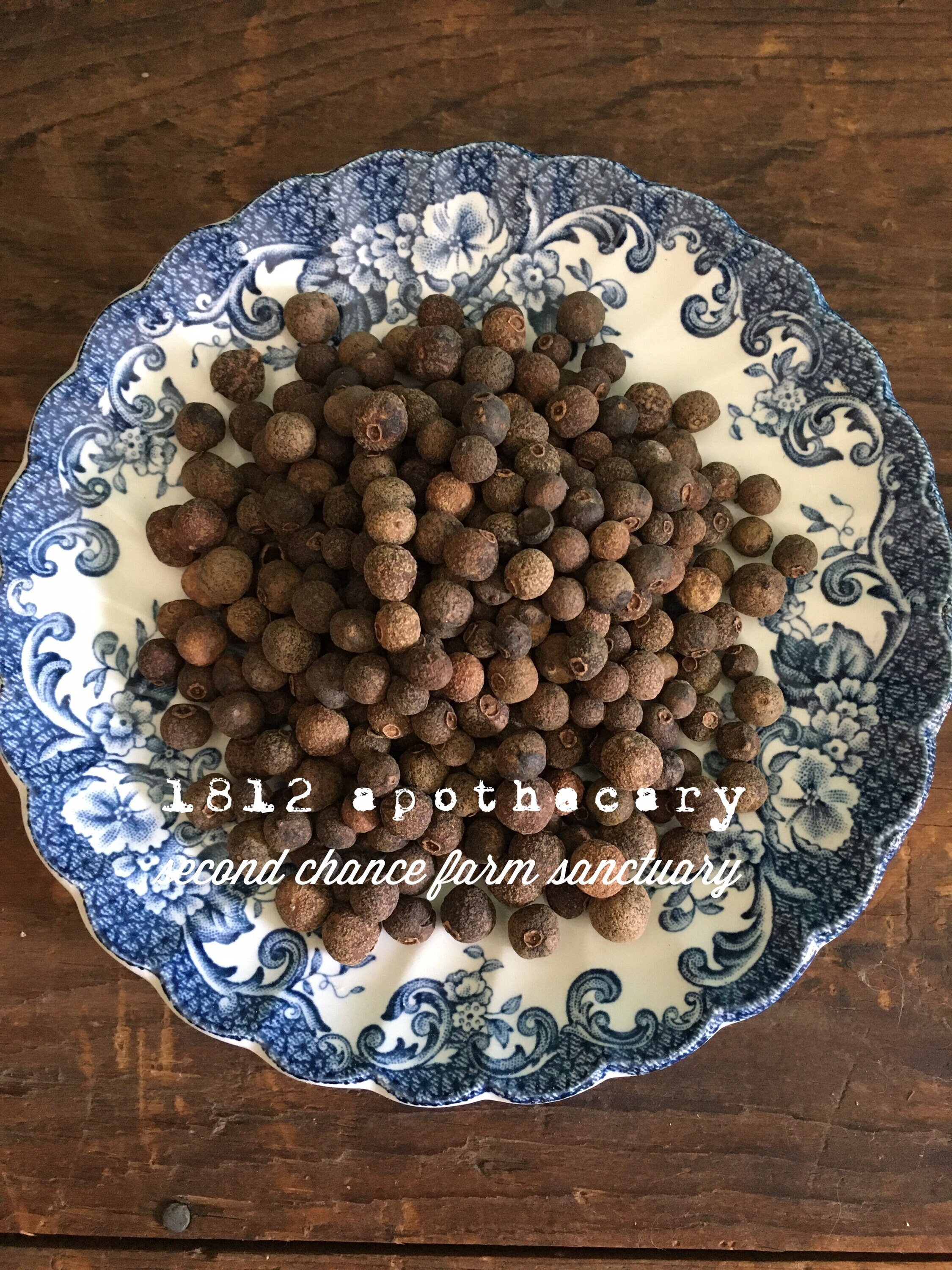Allspice Berries Wholistic Herb Herbalism Wicca Perfume Wild Harvested Herbal Tea Potpourri Magick Bulk Herb Culinary Grade
