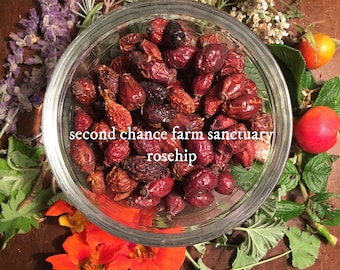 Rosehips, Rosa Canina, 1 oz Whole Rosehips, Wild Harvested, Whole Dried Rosehips, Bulk Herbs