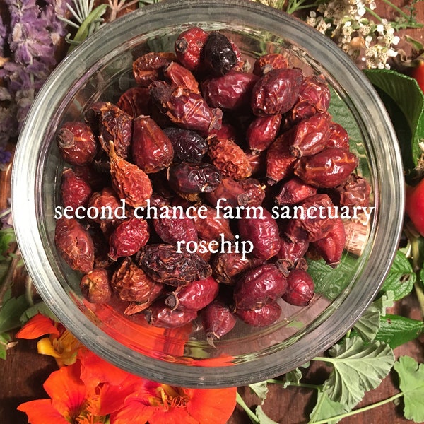 Rosehips Rosa canina 1 oz Whole Rosehips Wild harvester Whole Dried Bulk Herbs