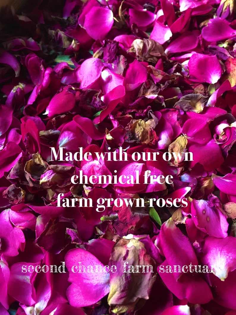 Op de afbeelding: Close-up van een stapel diep roze rozenblaadjes. De blaadjes zijn gedroogd en hebben een licht gerimpelde textuur. De tekst "Made with our own chemical free farm grown roses" is over de afbeelding gelegd. De tekst "second chance farm sanctuary" is zichtbaar onderaan de afbeelding.