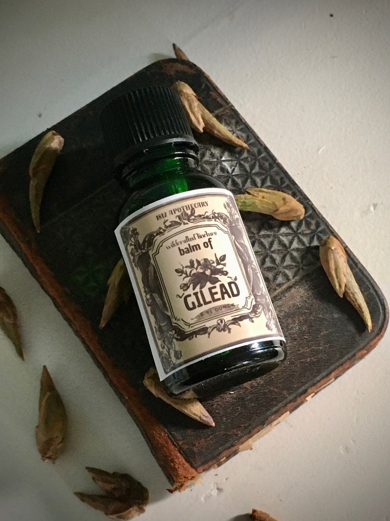 May include: A small, green glass bottle with a black cap and a cream-colored label that reads "balm of Gilead." The bottle sits on a dark, textured surface, surrounded by dried seed pods. The label also includes the text "1812 Apothecary."