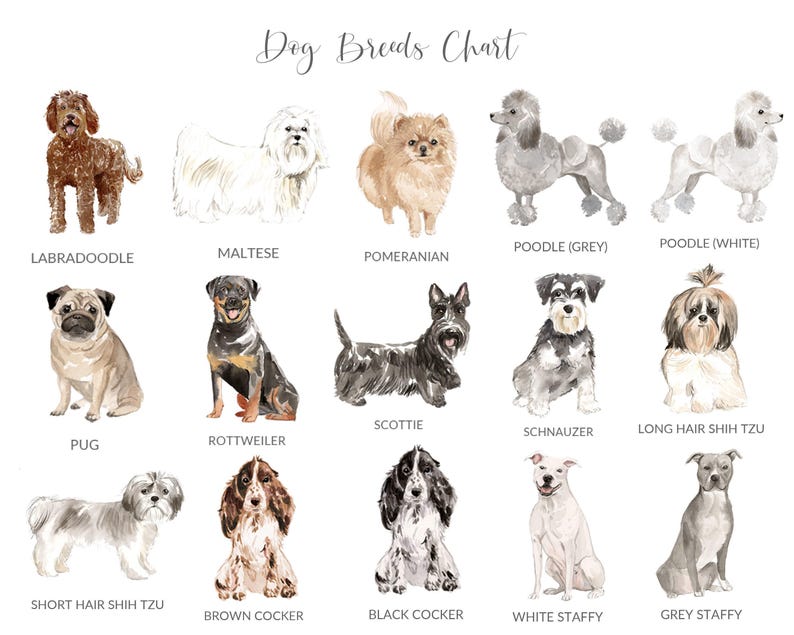 PERSONALIZED Pet Loss Card, Pet Sympathy Card Dog Sympathy Card, Personalised Dog Loss Card, Pet Memorial Card, Loss of Dog Card image 4