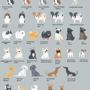 PERSONALIZED Pet Loss Card, Pet Sympathy Card Dog Sympathy Card, Personalised Dog Loss Card, Pet Memorial Card, Loss of Dog Card image 8