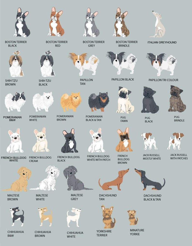 PERSONALIZED Pet Loss Card, Pet Sympathy Card Dog Sympathy Card, Personalised Dog Loss Card, Pet Memorial Card, Loss of Dog Card image 8
