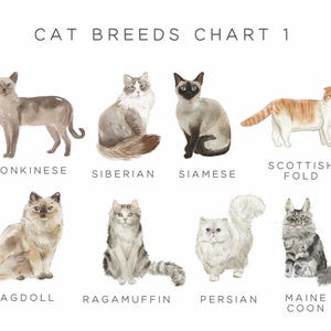 Loss of Pet Card Cat Sympathy Card, Pet Sympathy Card Personalised Pet Memorial Card, Loss of Cat Loss Card, Personalized Pet Loss Card image 6