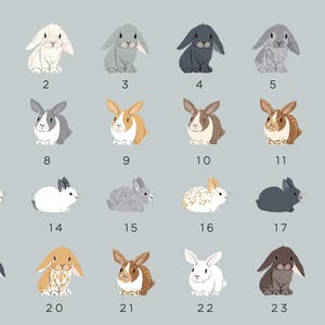 PERSONALIZED Pet Loss Card, Rabbit Sympathy Card, Rabbit Memorial Card, Pet Sympathy Card, Loss of Pet Card, Personalised Pet Memorial Card image 2
