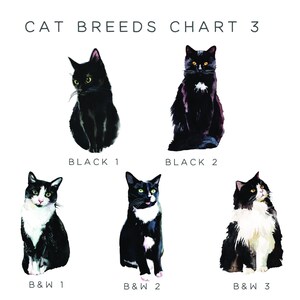 Loss of Pet Card Cat Sympathy Card, Pet Sympathy Card Personalised Pet Memorial Card, Loss of Cat Loss Card, Personalized Pet Loss Card image 4