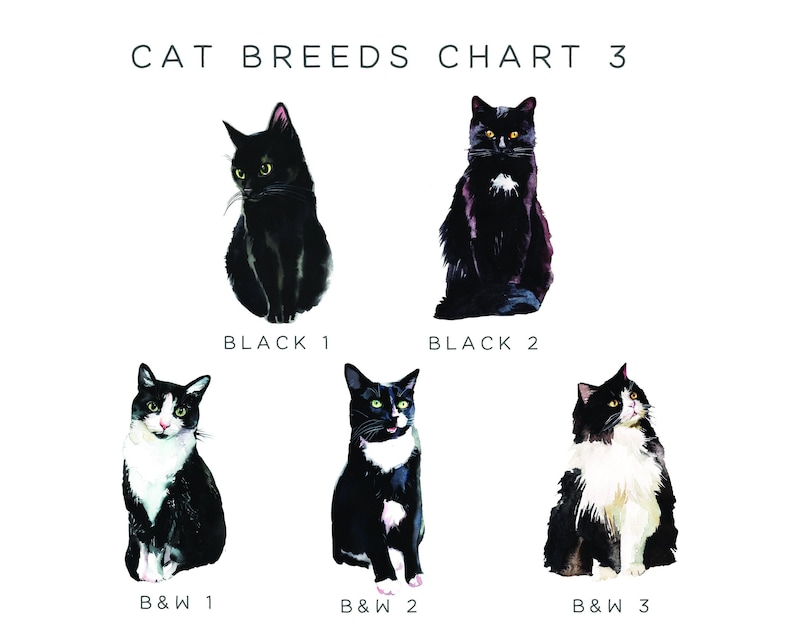 Loss of Pet Card Cat Sympathy Card, Pet Sympathy Card Personalised Pet Memorial Card, Loss of Cat Loss Card, Personalized Pet Loss Card image 4