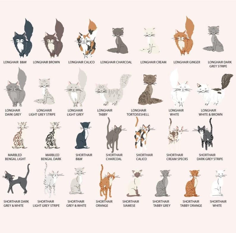 Loss of Pet Card Cat Sympathy Card, Pet Sympathy Card Personalised Pet Memorial Card, Loss of Cat Loss Card, Personalized Pet Loss Card image 5
