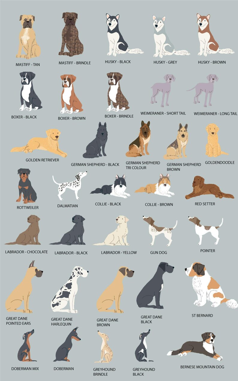 PERSONALIZED Pet Loss Card, Pet Sympathy Card Dog Sympathy Card, Personalised Dog Loss Card, Pet Memorial Card, Loss of Dog Card image 9