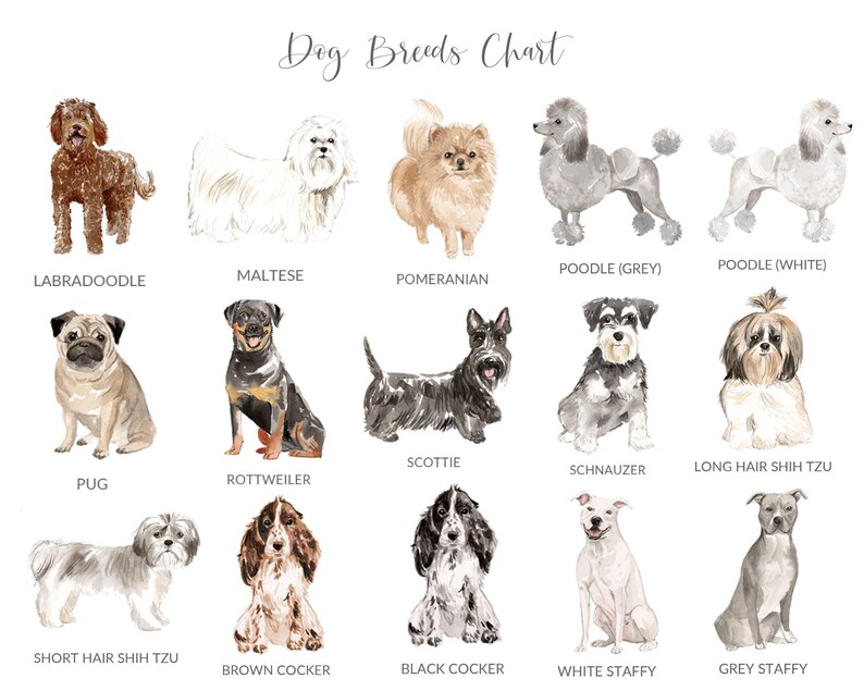 Dog Remembrance Gift, Dachshund Memorial Wall Art, Pet Memorial Picture, Sausage Dog Print, Dog Memorial Gifts Personalized, UNFRAMED afbeelding 6