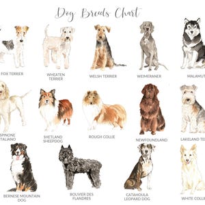 PERSONALIZED Pet Loss Card, Pet Sympathy Card Dog Sympathy Card, Personalised Dog Loss Card, Pet Memorial Card, Loss of Dog Card image 5