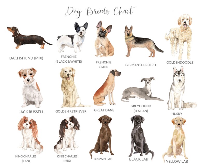 UNFRAMED Beagle Gift Personalized Dog Print Beagle Art Print Beagle Print Personalized Dog Gifts for Owners Dog Portrait Print