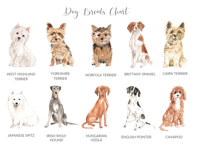 UNFRAMED Beagle Gift Personalized Dog Print Beagle Art Print Beagle Print Personalized Dog Gifts for Owners Dog Portrait Print