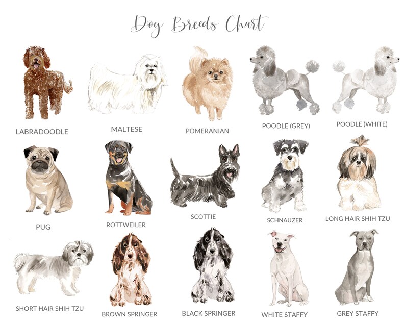UNFRAMED Beagle Gift Personalized Dog Print Beagle Art Print Beagle Print Personalized Dog Gifts for Owners Dog Portrait Print