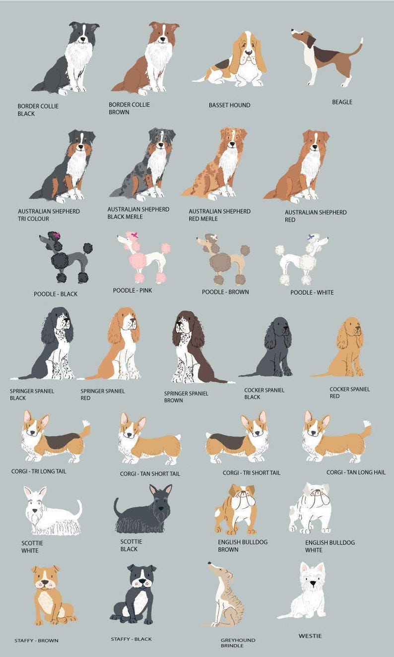 PERSONALIZED Pet Loss Card, Pet Sympathy Card Dog Sympathy Card, Personalised Dog Loss Card, Pet Memorial Card, Loss of Dog Card image 10