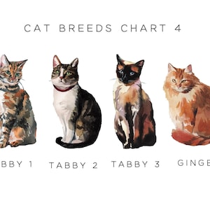 Loss of Pet Card Cat Sympathy Card, Pet Sympathy Card Personalised Pet Memorial Card, Loss of Cat Loss Card, Personalized Pet Loss Card image 3