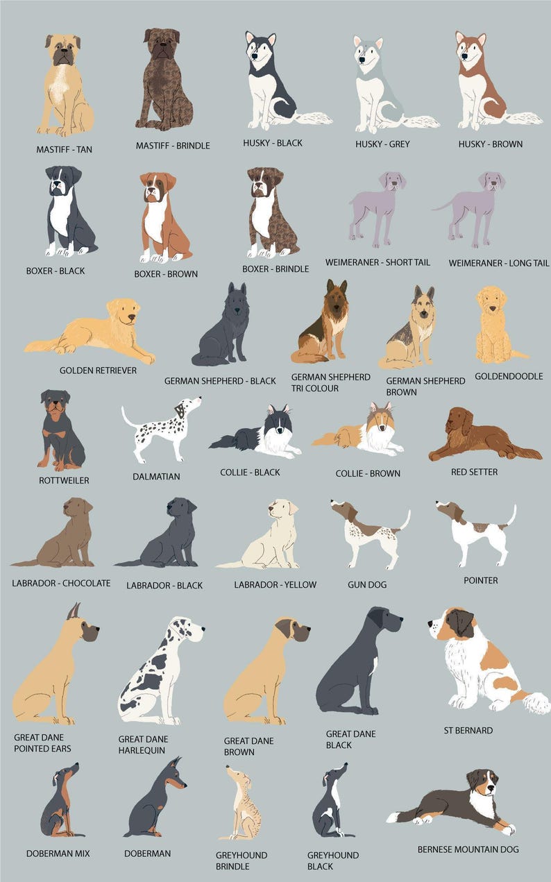 Dog Remembrance Gift, Dachshund Memorial Wall Art, Pet Memorial Picture, Sausage Dog Print, Dog Memorial Gifts Personalized, UNFRAMED afbeelding 10