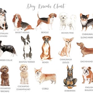 PERSONALIZED Pet Loss Card, Pet Sympathy Card Dog Sympathy Card, Personalised Dog Loss Card, Pet Memorial Card, Loss of Dog Card image 2