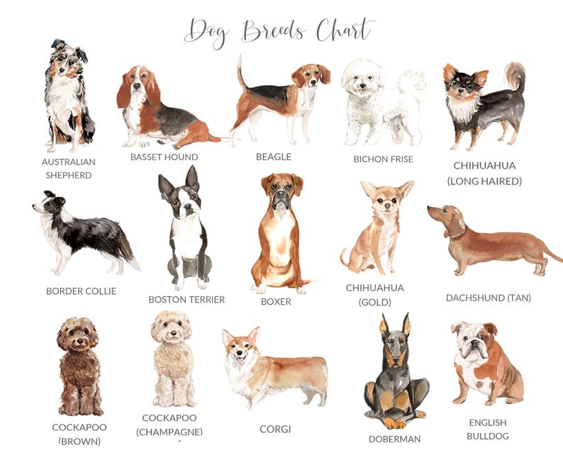 PERSONALIZED Pet Loss Card, Pet Sympathy Card Dog Sympathy Card, Personalised Dog Loss Card, Pet Memorial Card, Loss of Dog Card image 2