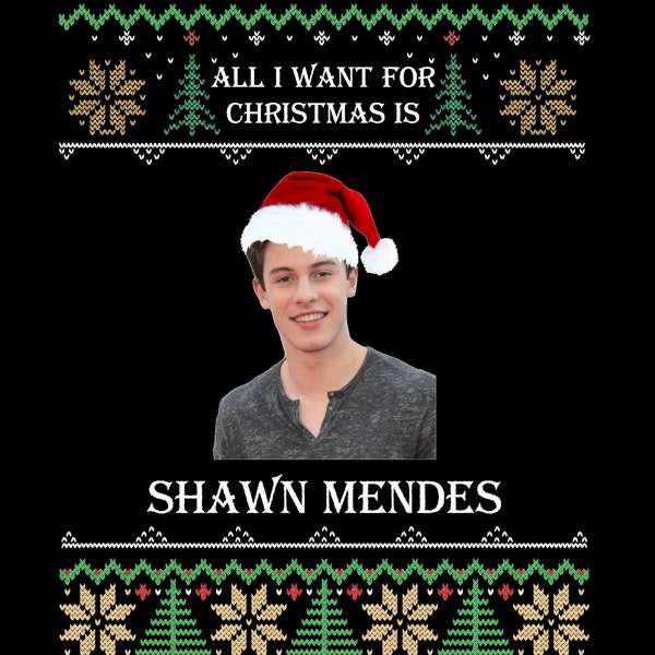 Shawn mendes christmas