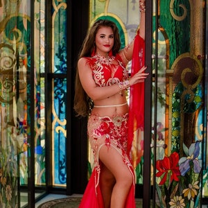 Egyptian Belly Dance Costume, bellydance Dress, oriental outfit