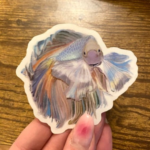 Betta Fish Vinyl Sticker