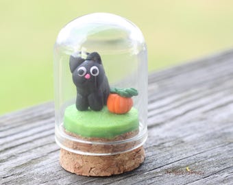 Gato negro y pequeña calabaza en una pequeña campana