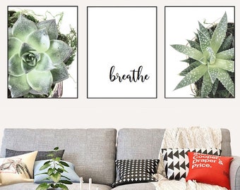 Free shipping prints set of 3 plant photography, succulents, cactus, botanical art