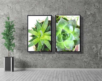 Free shipping set of 2 printed and shipped plant photography, succulent, botanical art