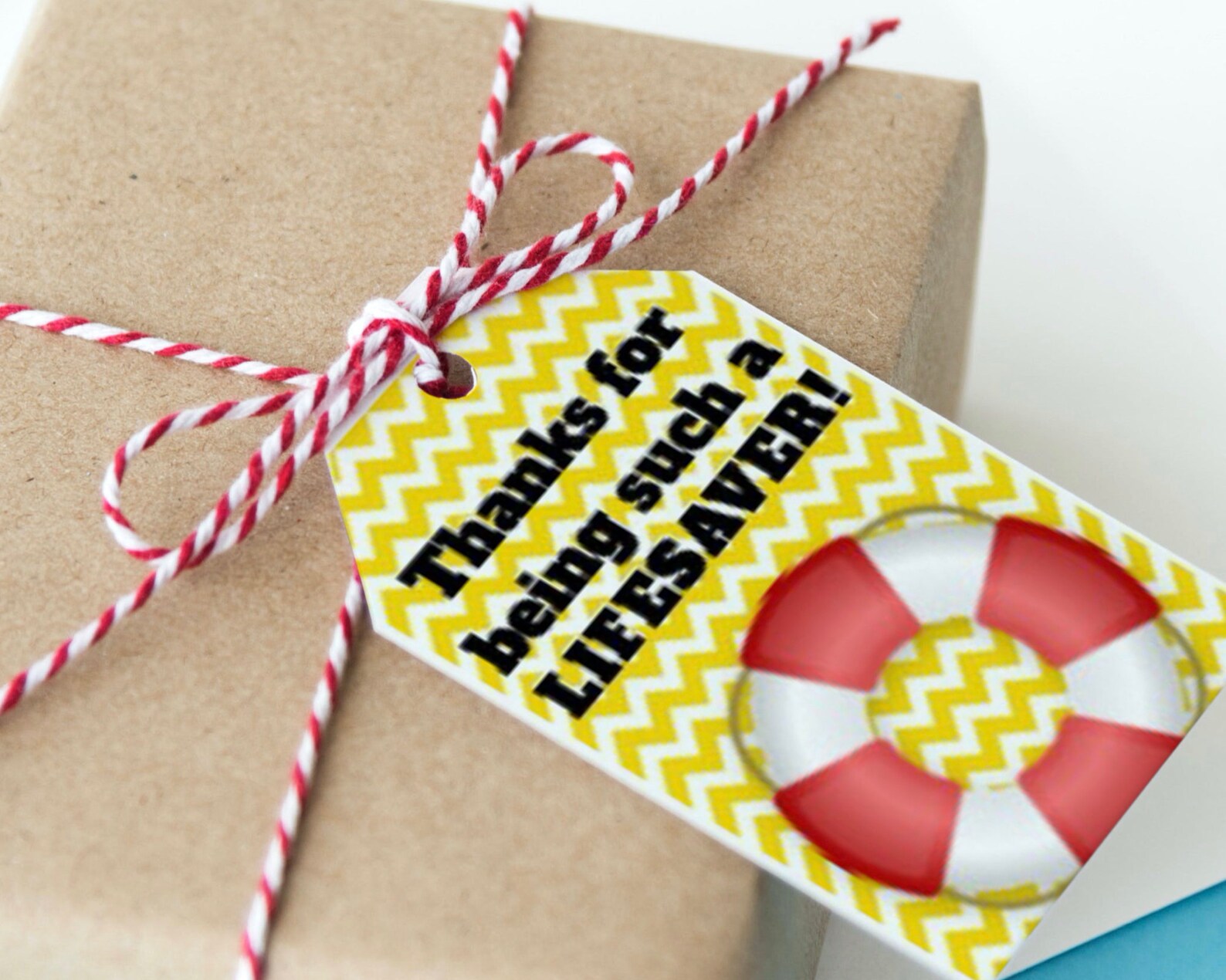 Thanks for Being Such a Lifesaver Printable Tags: Perfect for - Etsy