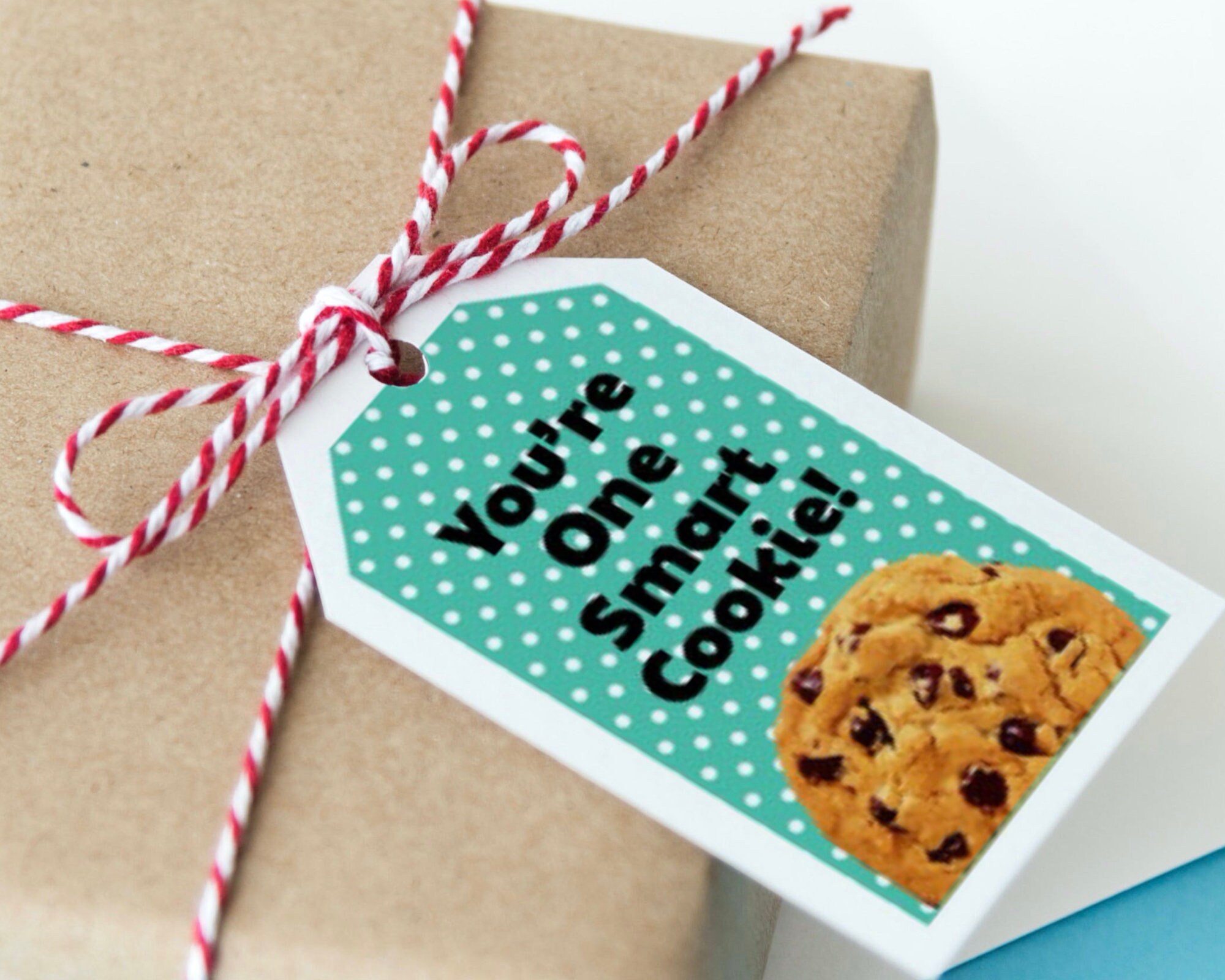 You're One Smart Cookie Themed Printable Thank You Tags: | Etsy