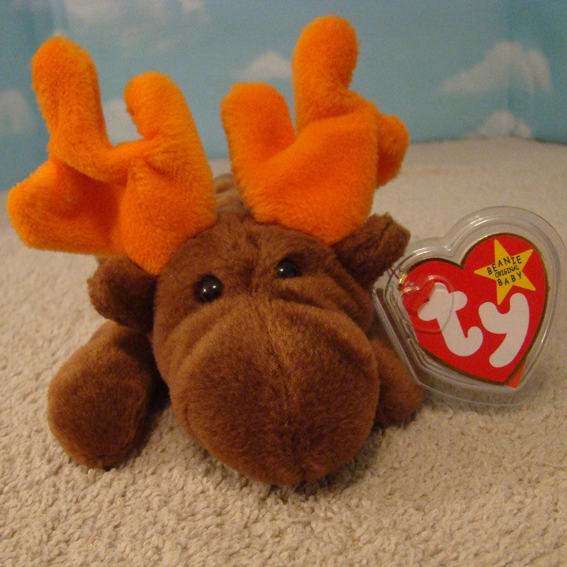 Chocolate the Moose Ty Beanie Baby | Etsy