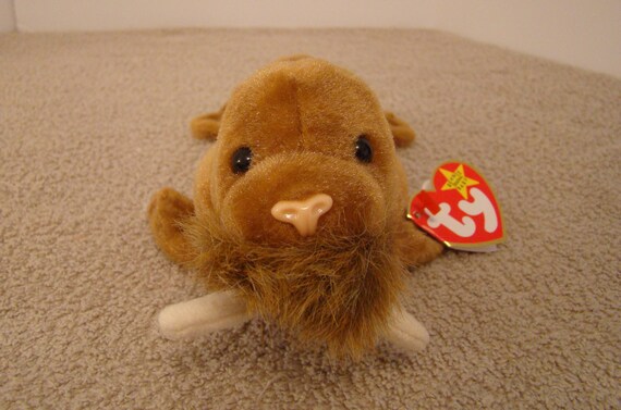 paul beanie baby