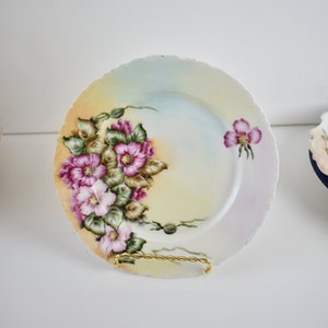 R C Versailles Bavaria Hand Painted Plate, Limoges Plate, #021021P