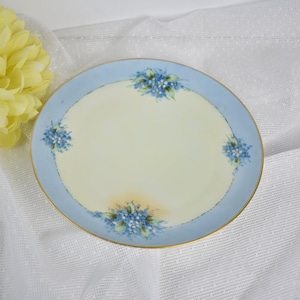 Vintage Thomas Bavaria Hand Painted Plate Blue,  Plate,  #100420