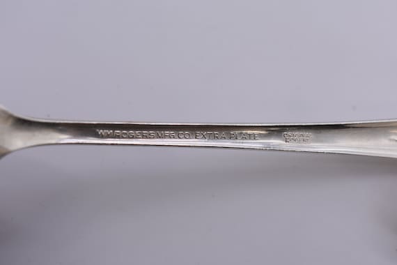 Vintage WM Rogers Extra Plate, 32 Piece Silverplate Service for 8