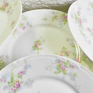 Theodore Haviland Limoges Plates. 5 Porcelain Plates with Floral Pattern. Porcelain Dishes Made in France. #K5 RPM