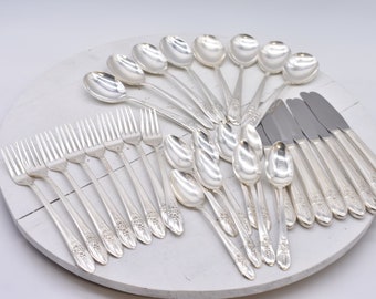 Vintage WM Rogers Extra Plate, 32 Piece Silverplate Service for 8
