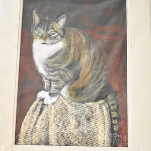 Pastel Pet Portrait, Realistic Pet Portrait Drawing, Pet Portrait,  Cat Portrait