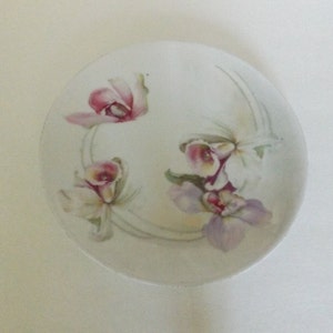 Prov Saxe E.S. Germany Plate Hand Painted Magenta & White Flowers