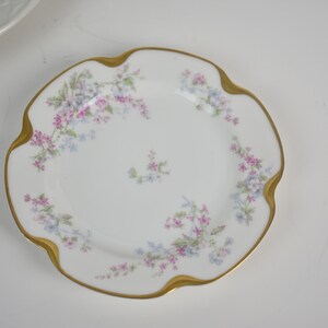 Vintage Hand Painted Plate, Replacement China by Haviland & Co., Limoges, France, Wedding Table #T01