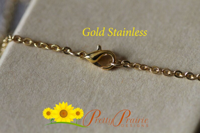 May include: Gold stainless steel chain with a lobster clasp closure.